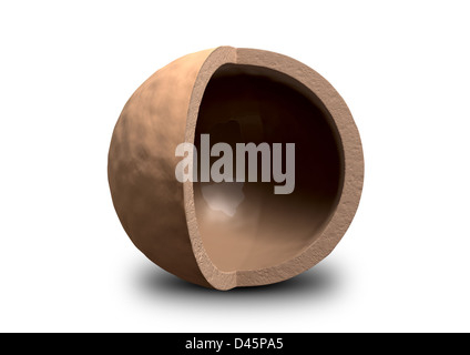 A hollowed out macadamia nut shell with a quarter segment cut away Stock Photo