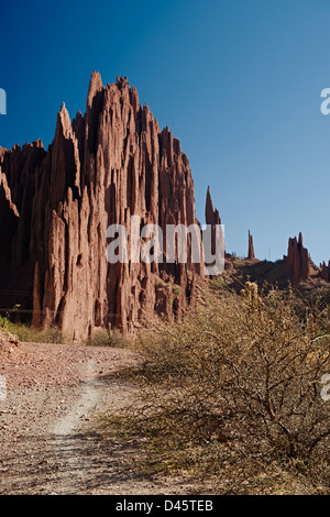 cacti and erosion landscape near Tupiza, Red rock formations in the Canon Del Inca, Tupiza Chichas Range, Bolivia, South America Stock Photo