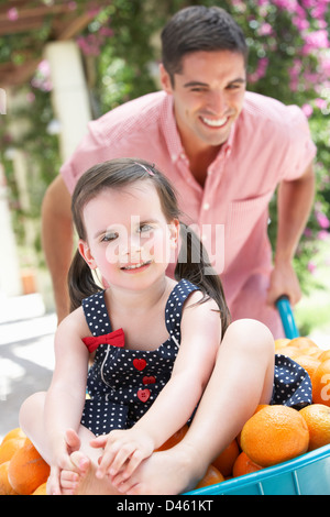 Father Pushing Daughter In Wheelbarrow Filled With Oranges Stock Photo