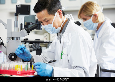 Male And Female Scientists Using Microscopes In Laboratory Stock Photo