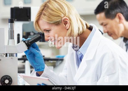 Female Scientist Using Tablet Computer In Laboratory Stock Photo