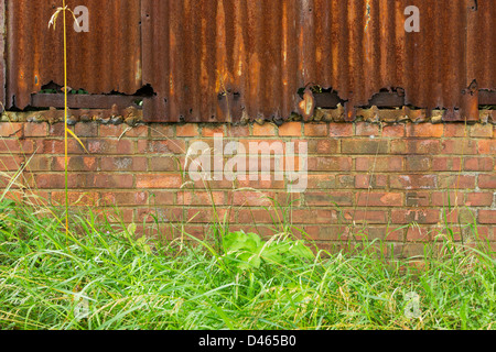 Background of rusty corrugated iron and brick wall in front of grass and weeds Stock Photo