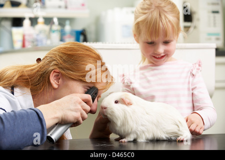 Female Veterinary Surgeon Examining Child's Guinea Pig In Surgery Stock Photo