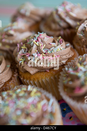 Chocolate cup cake Stock Photo