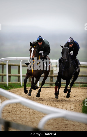 The racehorse Kauto Star (left) ridden by Head Lad, Clifford Baker on the gallops at Paul Nicholls Manor Farm Stables in Ditchea Stock Photo