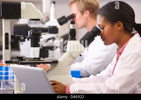 Male And Female Scientists Using Microscopes In Laboratory Stock Photo