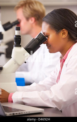 Male And Female Scientists Using Microscopes In Laboratory Stock Photo