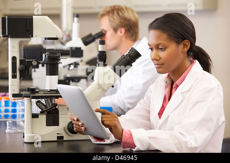 Scientists Using Microscopes  And Digital Tablet In Laboratory Stock Photo