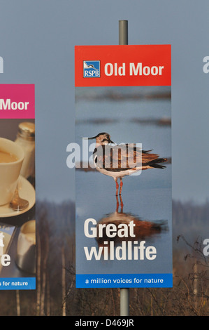 RSPB  Old Moor advertising signs Stock Photo