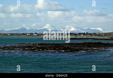 Mountains of Mourne in Winter from the Narrows of Strangford Lough, Co Down, Northern Ireland Stock Photo