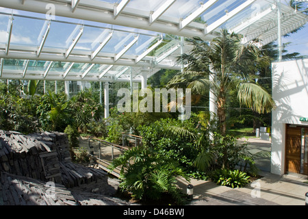 Jephson Gardens Temperate House Leamington Spa Warwickshire England UK Stock Photo