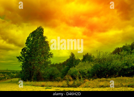 Tree and sky abstract landscape in dramatic color Stock Photo