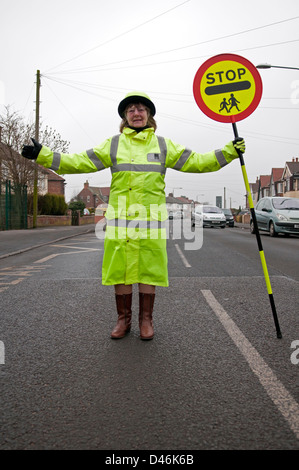 A British lollipop lady or crossing guard stopping traffic outside a school for children to cross the road Stock Photo