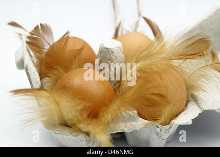 closeup of egg box and feathers Stock Photo
