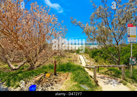 Pathway to the beautiful Castways Beach on the Sunshine Coast Queensland Australia, with safe swimming sign in foreground. Stock Photo
