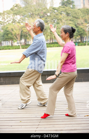 Senior Chinese Couple Doing Tai Chi In Park Stock Photo