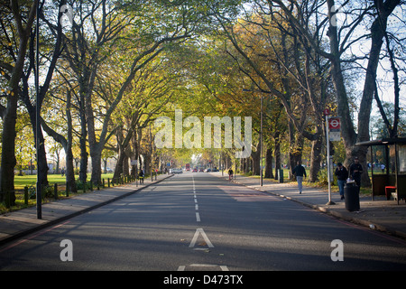 Clapham Common Autumn 2012 Stock Photo