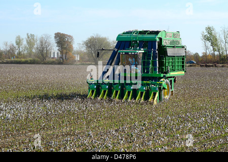 Cotton Field Being Harvested Mississippi Stock Photo