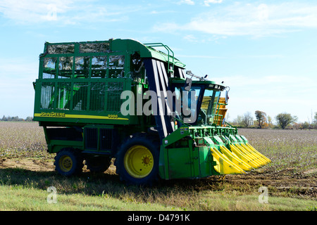 Cotton Field Being Harvested Mississippi US Stock Photo