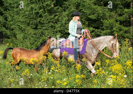 Cowgirl on Appaloosa leads a young Arabian foal on a rope through summer field Stock Photo