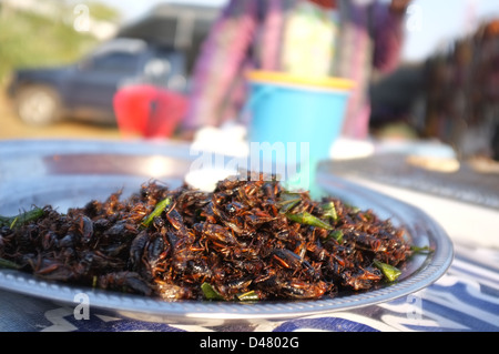 Edible crickets pictured here on sale at a market in Chompueang in northeastern Thailand. Stock Photo