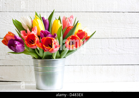 Spring easter tulips in bucket on white vintage planks Stock Photo