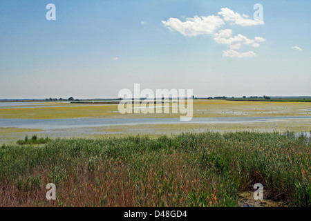 Wetlands of the Hortobágy National Park, Eastern Hungary Stock Photo