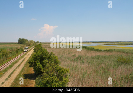 Tourist train heading through the wetlands of the Hortobágy National Park, Eastern Hungary Stock Photo