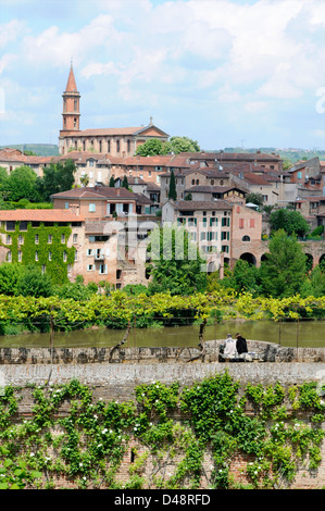 View from the gardens in the Palais de la Berbie (Berber's Palace) looking over the River Tarn. Albi, Tarn, France Stock Photo