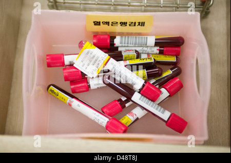 Patients blood is bottled and labelled prior to be investigated to determine blood type. Stock Photo
