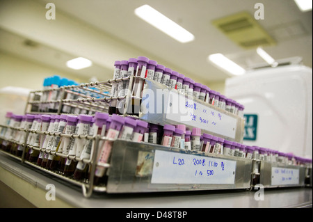 Blood samples are seperated into types after being tested and analysed. Stock Photo