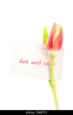 Get Well Soon card in flower bouquet on pink background. Stock photo ...