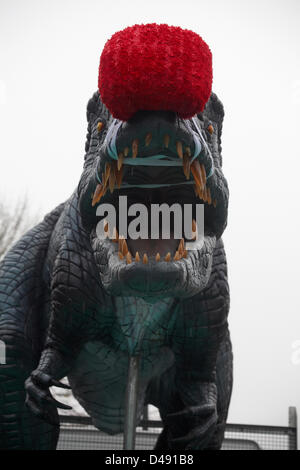 Bournemouth, UK. 8th March 2013. COMEDY Darren the dinosaur is released onto the streets of Bournemouth in aid of Comic Relief. Darren the dinosaur is three metres tall by eight metres long and was used in Walking with Dinosaurs, He was set free by celebrity Chris Jarvis from outside the BIC. The event was organised by Sainsbury's to encourage people to call into any store to get their red noses to protect themselves should they see the prehistoric creature while out and about. Credit:  Carolyn Jenkins / Alamy Live News Stock Photo