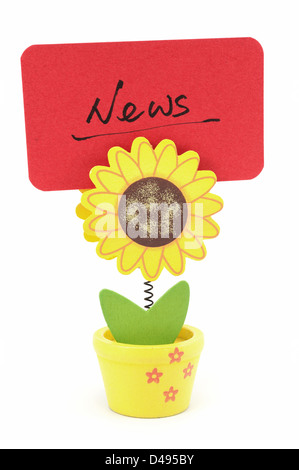 News word written on red paper of sun flower pot clip Stock Photo
