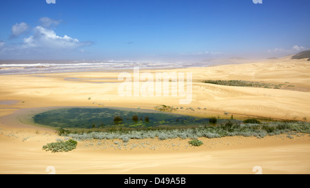 The beach near Bushman's River Mouth, in an area known as the Sunshine Coast, in South Africa. Stock Photo