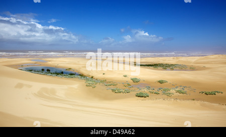 The beach near Bushman's River Mouth, in an area known as the Sunshine Coast, in South Africa. Stock Photo