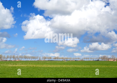 beautiful cloudscape over grassland in Groningen Stock Photo