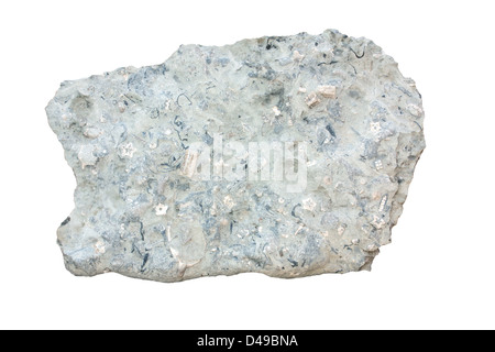 Fossiliferous limestone Stock Photo