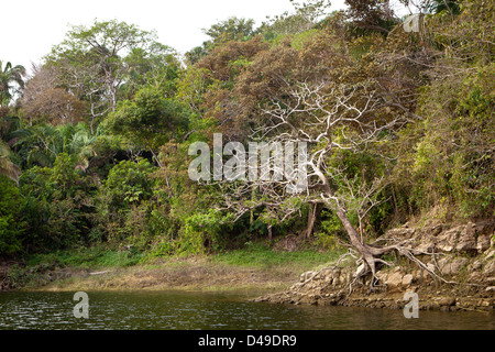 Landscapes at Lago Bayano (lake), Panama province, Republic of Panama. Stock Photo