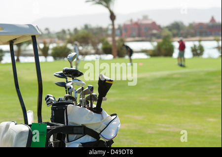 Closeup detail of golf clubs in a bag with golfers on the green in background Stock Photo