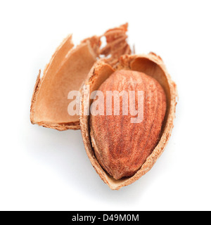 Roasted almond nut isolated on white Stock Photo