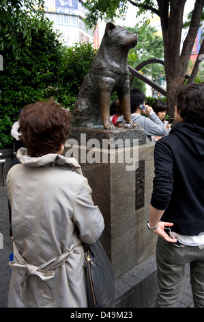 Bronze statue of the faithful pet dog Chuken Hachiko is a popular meeting place in the trendy Shibuya district of Tokyo. Stock Photo