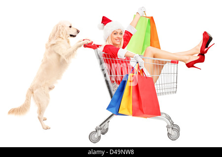 Retriever dog pushing a woman wearing Santa Claus costume in a shopping cart isolated on white background Stock Photo