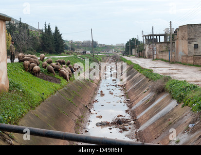 Houses destroyed in a helicopter strike carried out by the Assad forces, Apamea, Syria Stock Photo