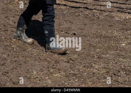 Lancaster, Pennsylvania, US. 9th March, 2013. A 'mud sale' is held in Lancaster, Pennsylvania. County annual Mud Sales are events held by local volunteer Fire Companies to raise funds for equipment and services.  They begin in early spring and there is usually one every weekend in March, with others scheduled through the year. They consist of auctions and sales of farming supplies, tools, animals, quilts, buggies, garden items and much more. Stock Photo