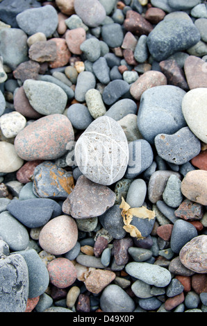 Rounded beach stones in shades of pink and grey at Raccoon Beach on Campobello Island. Stock Photo