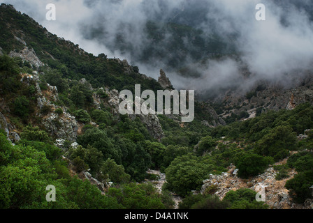 Orosei, Italy, mountain scenery in the Parco Nazionale del Golfo di Orosei in Sardinia Stock Photo