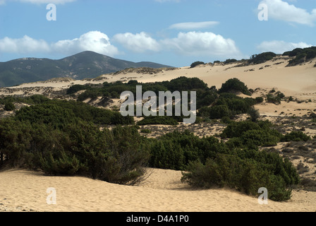 Ingurtosu Italy, dunes in the nature reserve in Sardinia Costa Verde Stock Photo