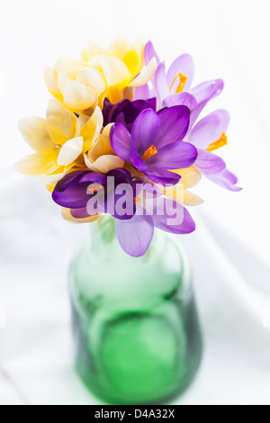 Crocuses on the Easter table Stock Photo