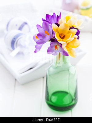 Crocuses on the Easter table Stock Photo